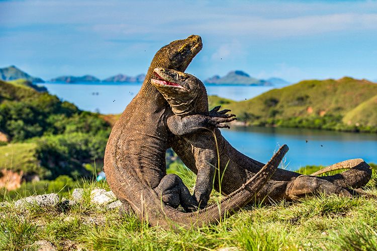 Daftar Tempat Liburan Terbaik di Nusa Tenggara Timur