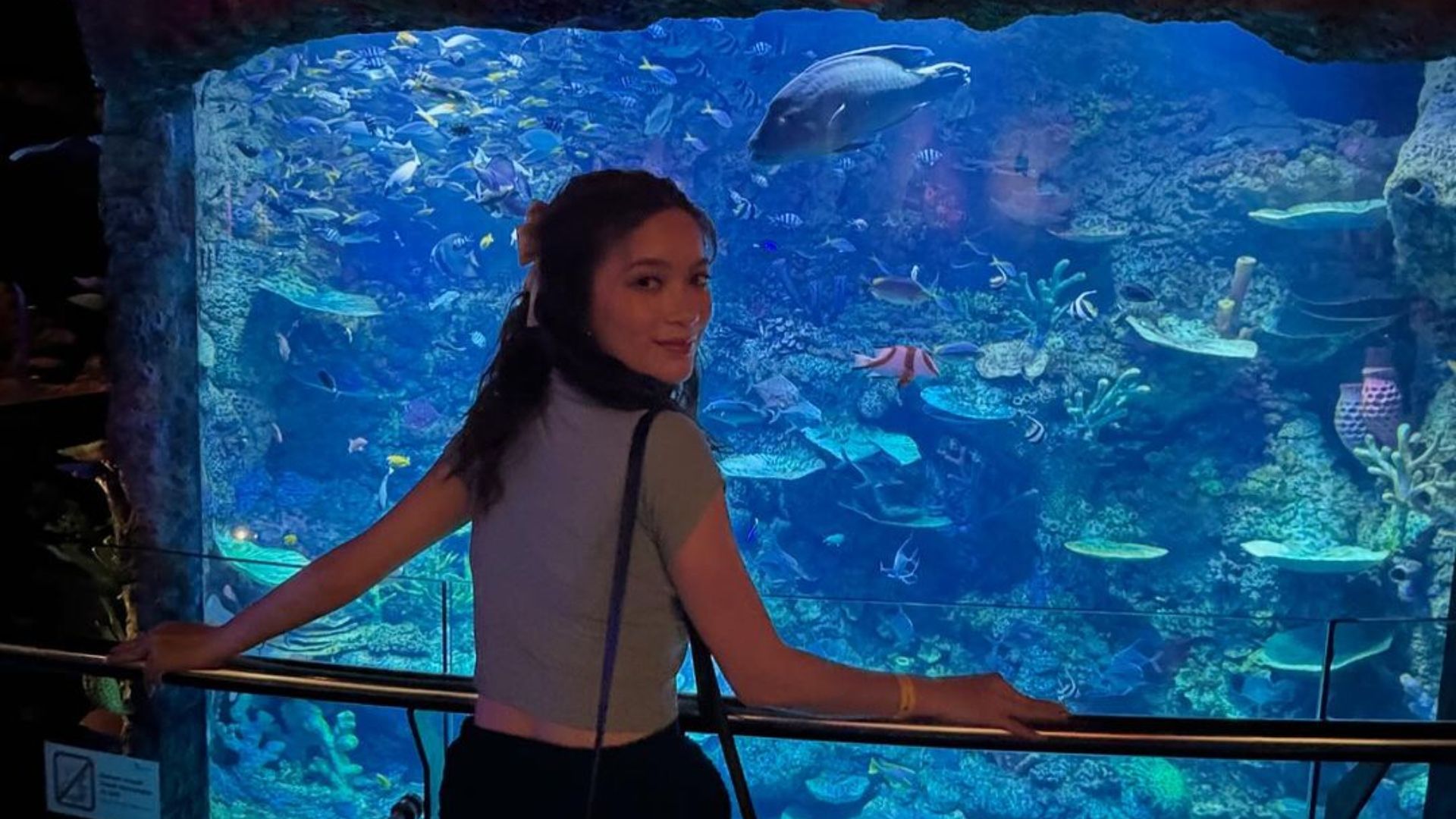 Rekomendasi Wisata Akuarium Terbesar di Indonesia