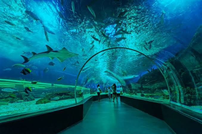 Tempat Wisata Tercantik Di Manila Yang Populer 2026
