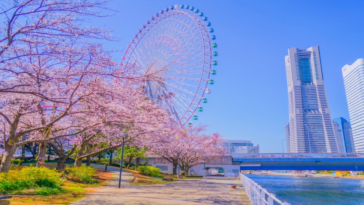 Tempat Wisata Di Yokohama Yang Patut Di Jelajahi